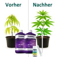 T.A. pH Test Kit + Plagron pH+ 500 ml + Plagron pH- 500 ml