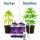 T.A. pH Test Kit + Plagron pH+ 500 ml + Plagron pH- 500 ml