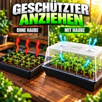 Small Greenhouse - Seedling Propagation