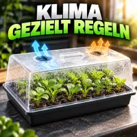 Small Greenhouse - Seedling Propagation