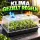 Small Greenhouse - Seedling Propagation