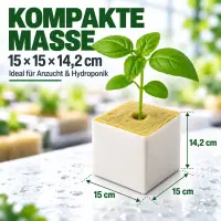 Steinwolle Anzuchtwürfel 15x15x14,2 cm –...