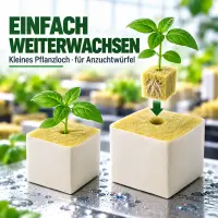Steinwolle Anzuchtwürfel 15x15x14,2 cm – Perfekt für Anzucht