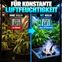 Ultrasonic Ultraschall-Luftbefeuchter 1 Membrane 500 ml/Stunde – Kompakt