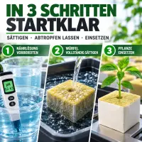 Rockwool Seedling Cubes 4x4 cm – Small Hole – 2250 Pieces – For Germination & Plant Propagation