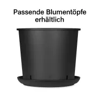 Untersetzer Rund 18 cm Durchmesser – Runder Blumentopfschutz