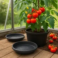 Untersetzer Rund 10 cm Durchmesser – Blumentopf Untersetzer