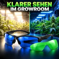 Growroom Brille – Pflanzenbetrachtungsbrille