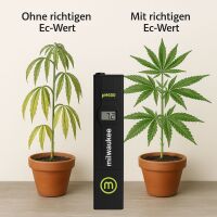Milwaukee pH-Messgerät pH600
