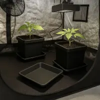Square Coaster 31 x 31 x 3.5 cm – Plant Coaster