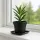 Square Plant Saucer 37 x 37 x 3.6 cm – Plant Pot Drip Tray