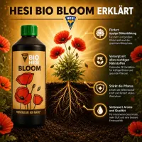 Hesi Bio Bloom 1 Liter – Organic Flower Fertilizer