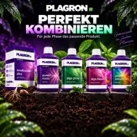 Plagron Seedbooster - Wurzelstimulator für Keimlinge