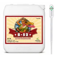 Advanced Nutrients B-52 5 Liters – Vitamin &...