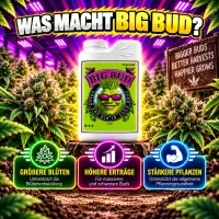 Advanced Nutrients Big Bud 1 Liter – Bloom Booster...