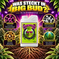 Advanced Nutrients Big Bud 500 ml – Bloom Booster for Maximum Yield