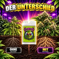 Advanced Nutrients Big Bud 500 ml – Bloom Booster for Maximum Yield