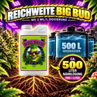 Advanced Nutrients Big Bud 500 ml – Bloom Booster for Maximum Yield
