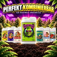 Advanced Nutrients Big Bud 500 ml – Bloom Booster for Maximum Yield