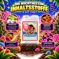 Advanced Nutrients Bud Candy 1 Liter – Energy Booster & Sugar Additive