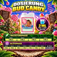 Advanced Nutrients Bud Candy 1 Liter – Energy Booster & Sugar Additive