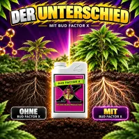 Advanced Nutrients Bud Factor X 250 ml – Resin & Terpene Enhancer