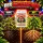 Advanced Nutrients Carboload 1 Liter – Carbohydrate Bloom Booster