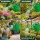 Plastic Watering Can 13 Liters – Garden Irrigation