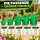 Plastic Watering Can 13 Liters – Garden Irrigation