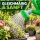 Kunststoff-Gießkanne 6 Liter – Bewässerung Garten