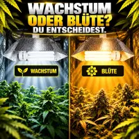 ESL 250 Watt Grow Light Set – Energy-Saving Lamp for Plant Growth
