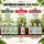 BioBizz 8-Teiliges Dünger Set All-Star XL – Bio Grow Dünger