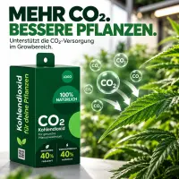 CO2 Box – CO2 Source for Plants