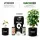 BioBizz Light Mix Erde-Set – Bio Anzuchterde