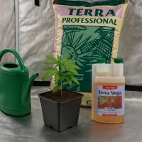 Canna Terra Prof. Erde-Set – Grow Erde Standard