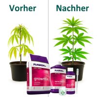 Plagron Growmix Erde-Set – Anzuchterde Komplettset