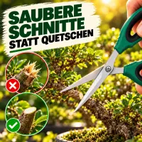 XL Bonsai Scissors – Precision Plant Shears