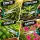 XL Bonsai Scissors – Precision Plant Shears