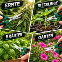 Bonsai Scissors – Precision Plant Shears