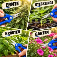 Gartenschere Gebogen – Spezial Trimmschere