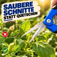 Curved Garden Shears – Specialty Pruning Scissors
