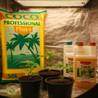 Canna Coco Mix Set Small – Kokos Substrat Grow