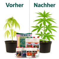 Canna Terra Prof. Erde-Set Big – Grow Erde Universell