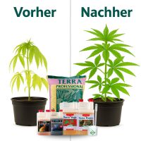Canna Terra Prof. Erde-Set Medium – Grow Erde...