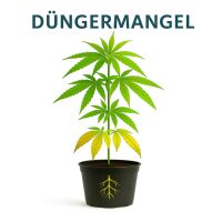 Canna Terra Professional Soil Set Medium – Universal Grow Soil