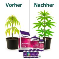 Plagron Growmix Erde-Set Big – Anzuchterde Indoor Grow
