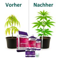 Plagron Growmix Erde-Set Medium – Anzuchterde...