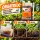 BioTabs Orgatrex 1 Liter – Organic Liquid Fertilizer