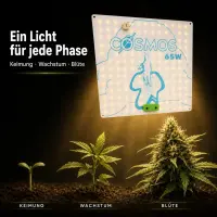 Cosmos 65 Watt LED Pflanzenlampe – Kompakte Grow Lampe