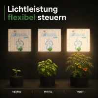 Cosmos 65 Watt LED Pflanzenlampe – Kompakte Grow Lampe